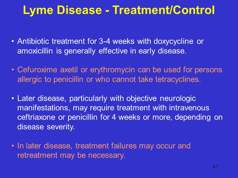 doxycycline treatment for dogs with lymes disease